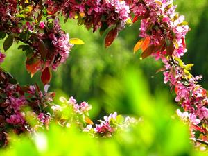 Photo 897438