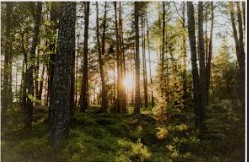 Photo 908686